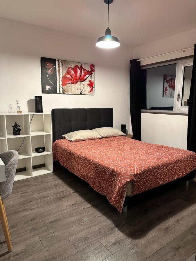 Magnifique Loft - Hyper Centre Apartamento Annemasse Exterior foto