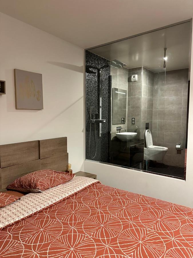 Magnifique Loft - Hyper Centre Apartamento Annemasse Exterior foto
